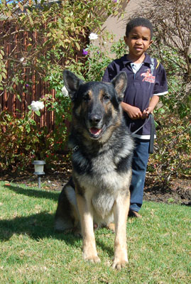 Jojo von Lancaster sitting